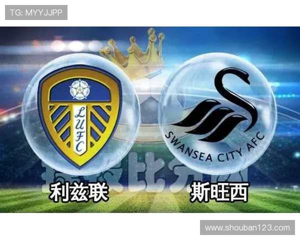 斯旺西俱乐部迎来新阶段全力备战赛季目标重返英超管理层与阵容同步调整 斯旺西俱乐部迎来新阶段全力备战赛季目标重返英超管理层与阵容同步调整